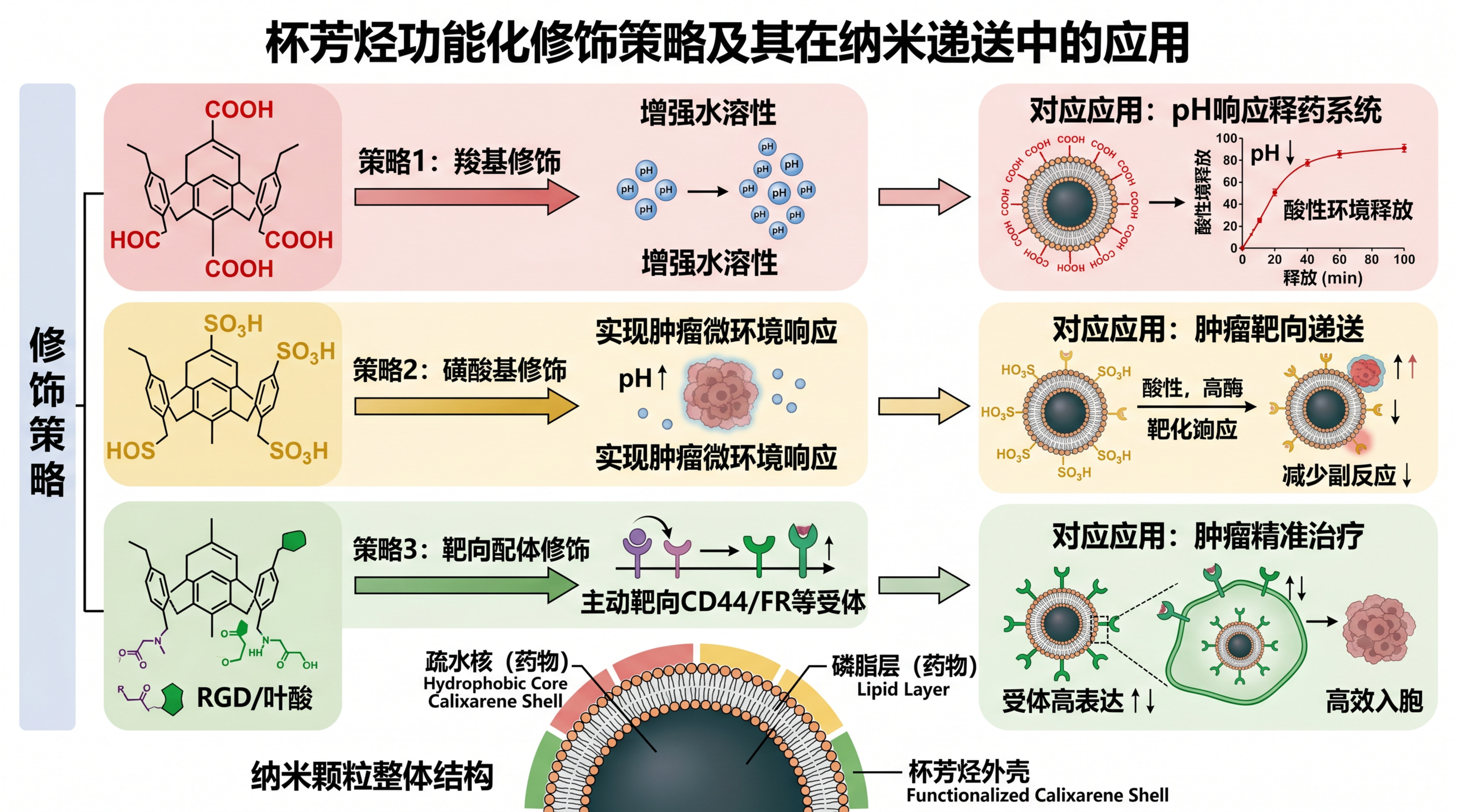 杯芳烃功能化修饰策略及其在纳米递送中的应用图.jpeg