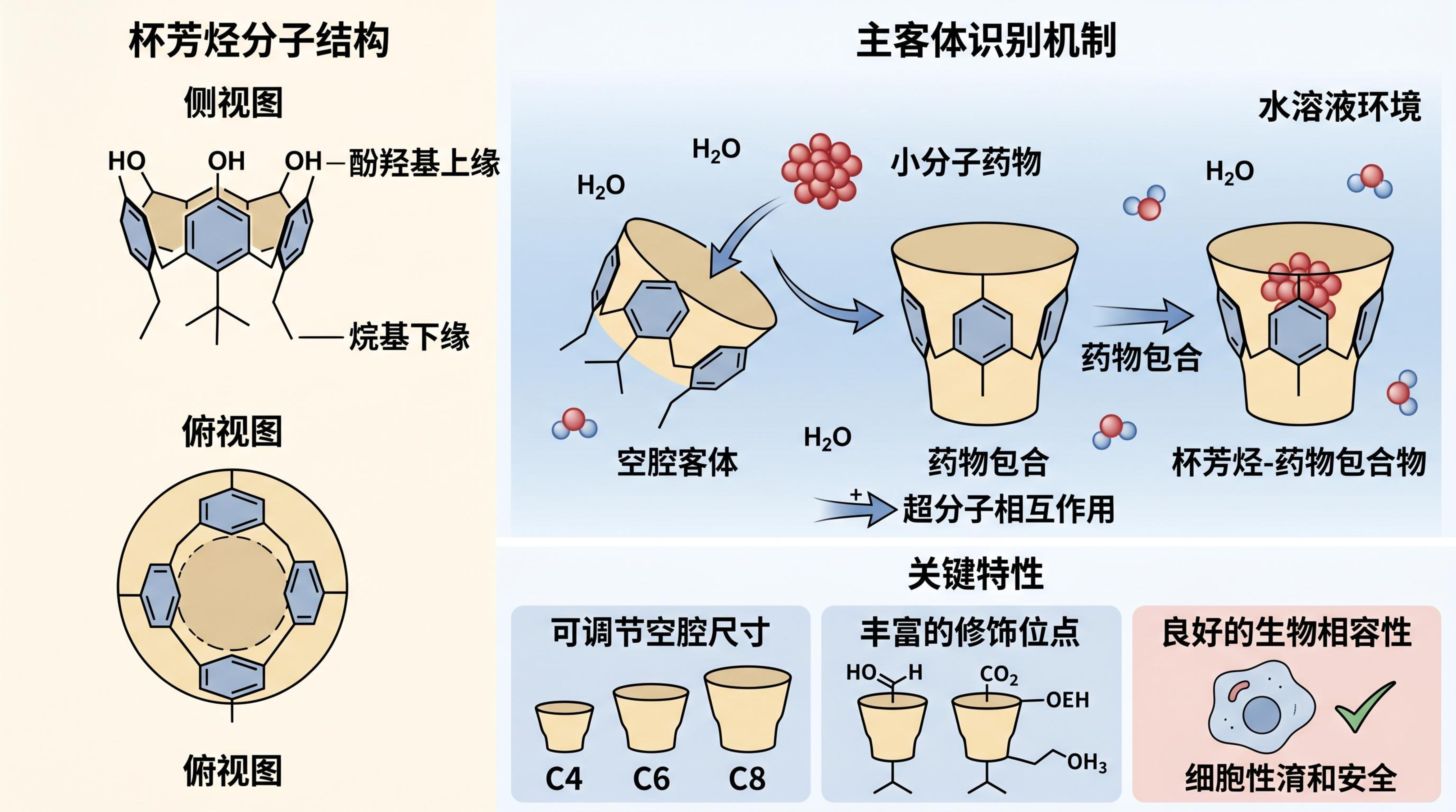 杯芳烃（Calixarene）分子结构及其主客体识别机制示意图.jpeg