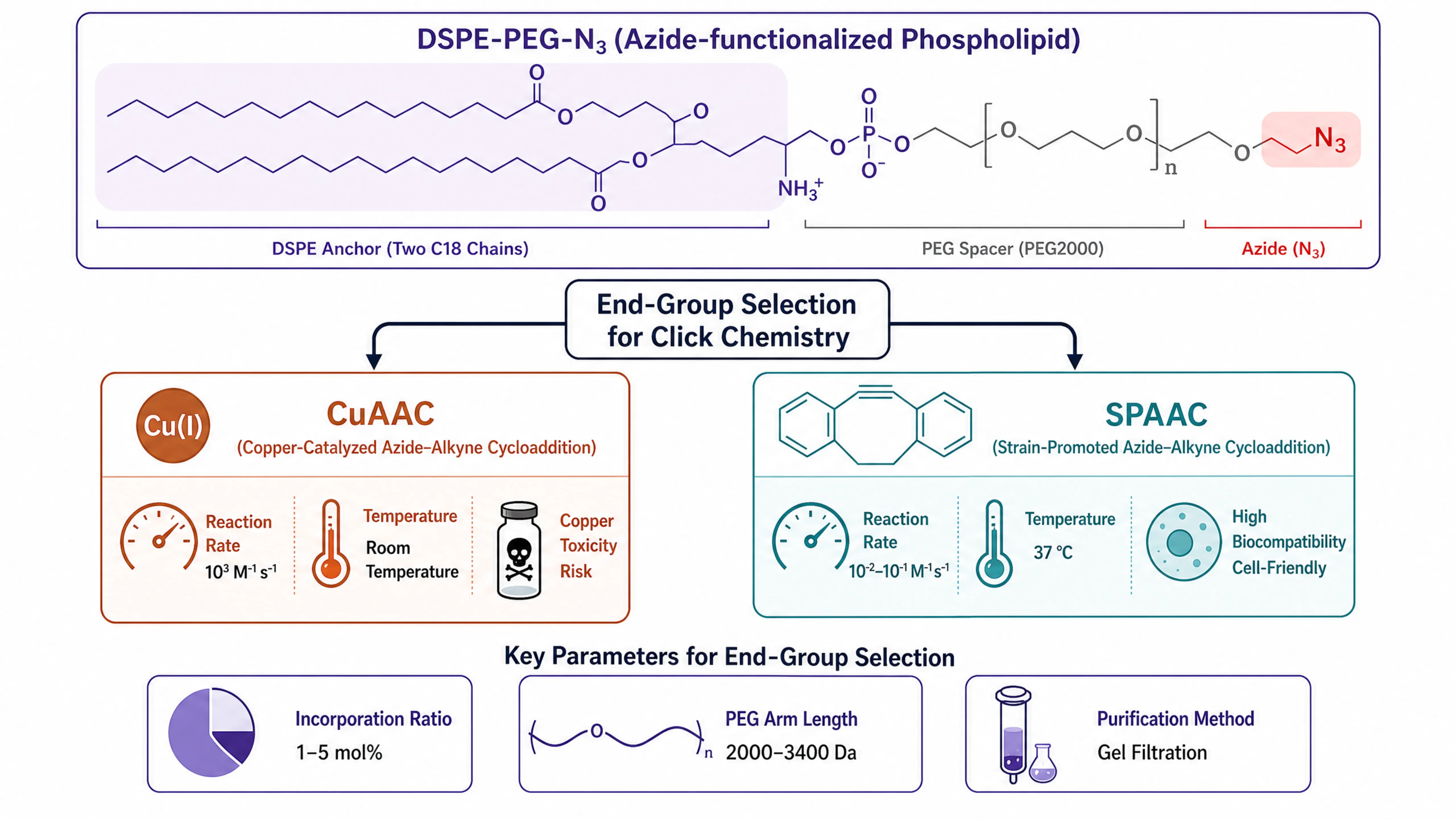 DSPE-PEG-N3叠氮化磷脂：点击化学端基选型