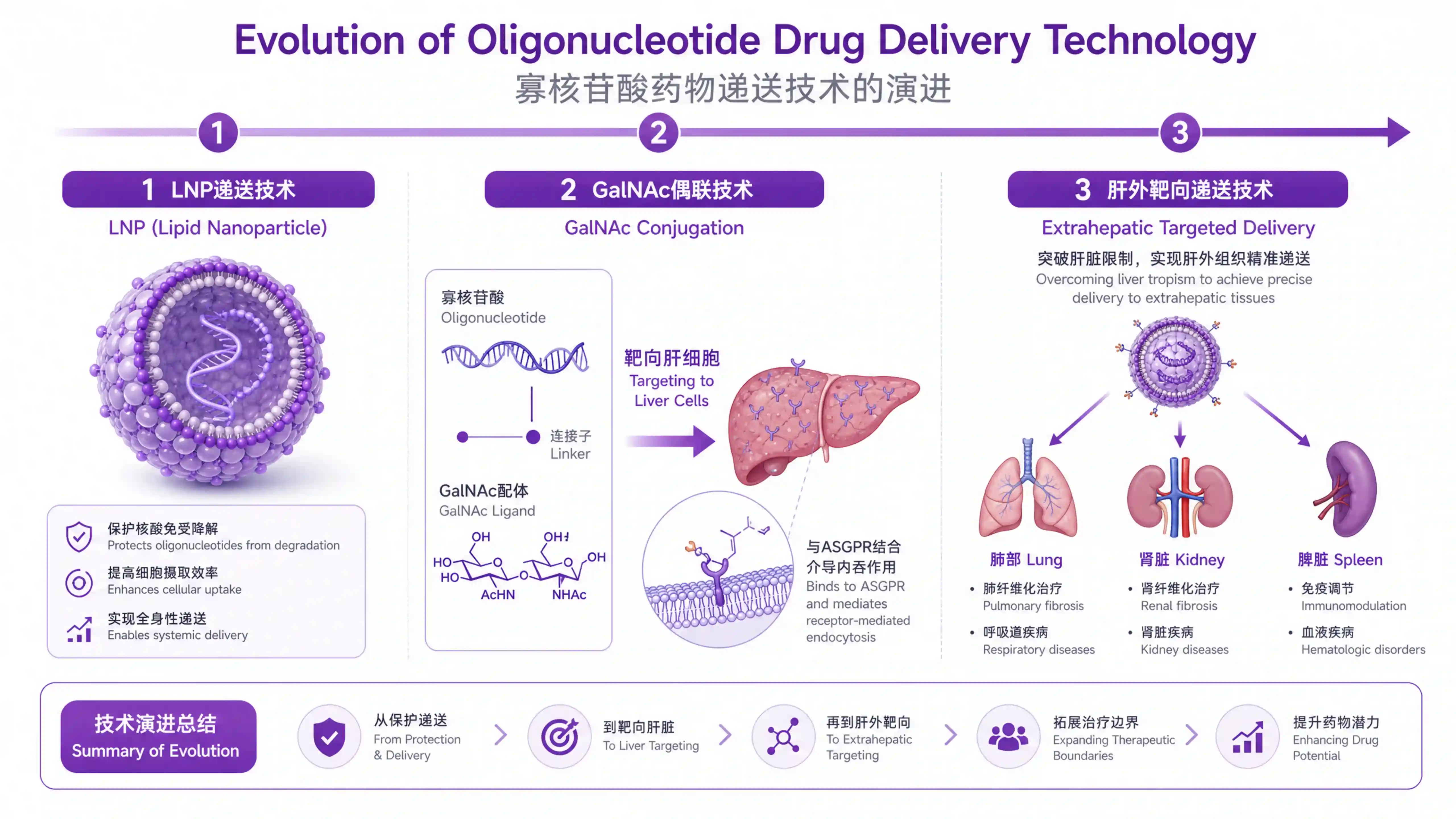 小核酸药物递送技术迭代路线图:从LNP脂质纳米颗粒到GalNAc偶联再到肝外靶向递送的技术演进示意