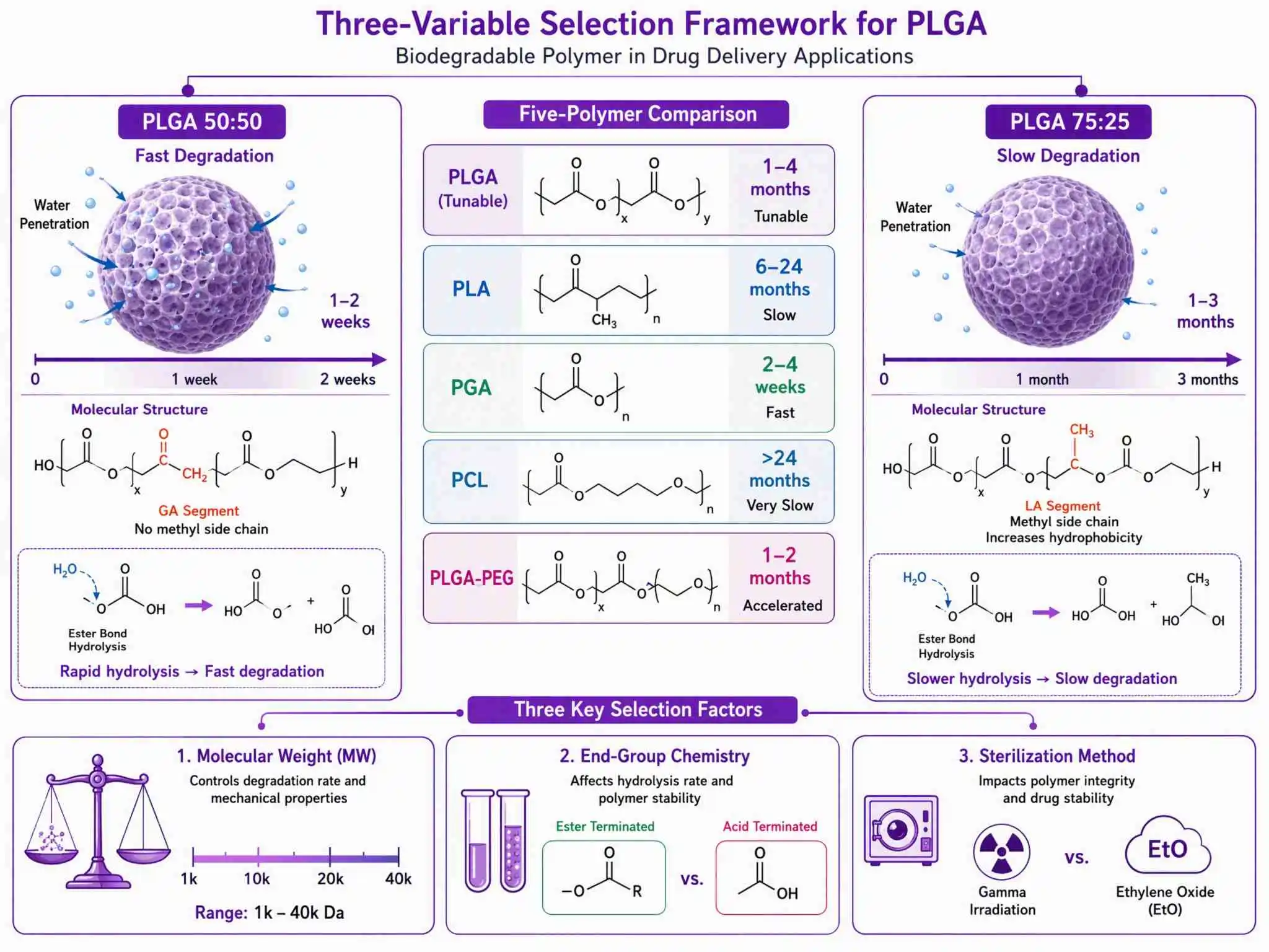 PLGA聚乳酸-羟基乙酸共聚物选型指南：LA/GA比例决定降解周期、分子量控制力学性能、端基影响包封率