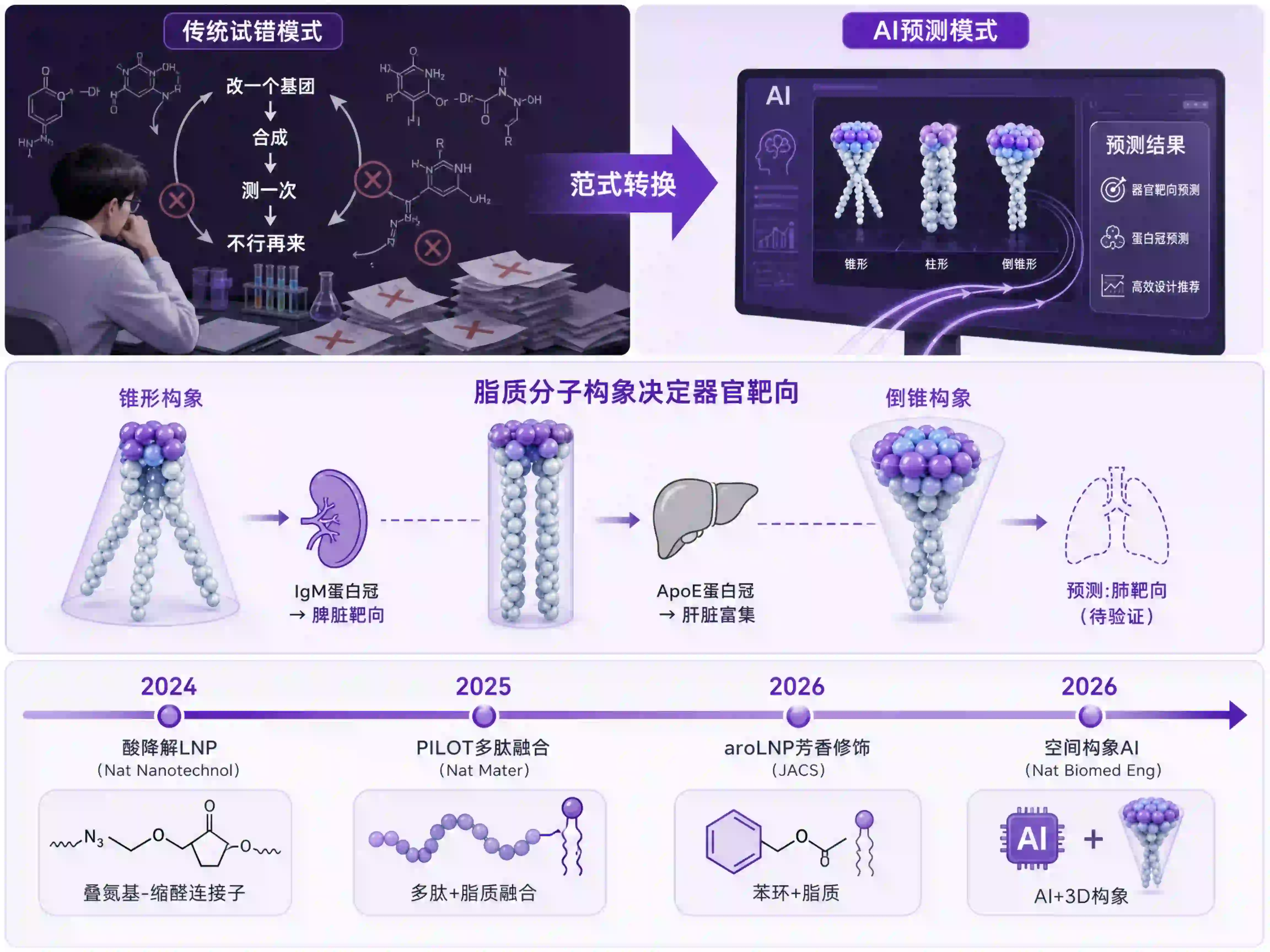 AI设计可电离脂质三维构象筛选LNP脾靶向mRNA递送&mdash;&mdash;从二维结构式试错到三维空间构象预测的范式转换，展示锥形/柱形/倒锥形脂质构象与器官靶向映射关系