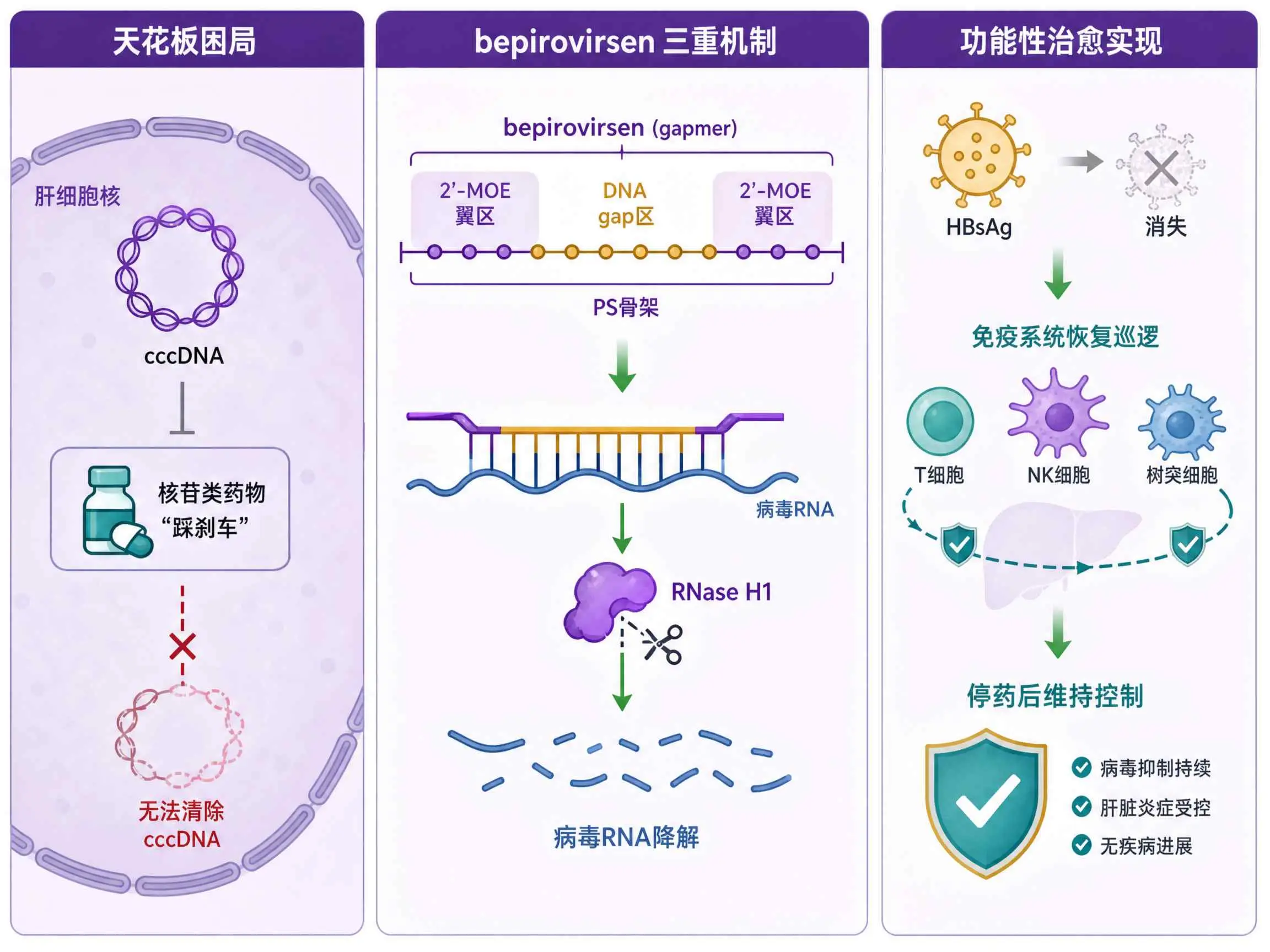 bepirovirsen gapmer三重机制与乙肝功能性治愈示意图：左侧cccDNA困局与核苷类药物踩刹车，中间gapmer三段式结构PS骨架2-MOE翼区DNA gap区招募RNase H1切割病毒RNA，右侧HBsAg消失免疫系统恢复控制实现功能性治愈