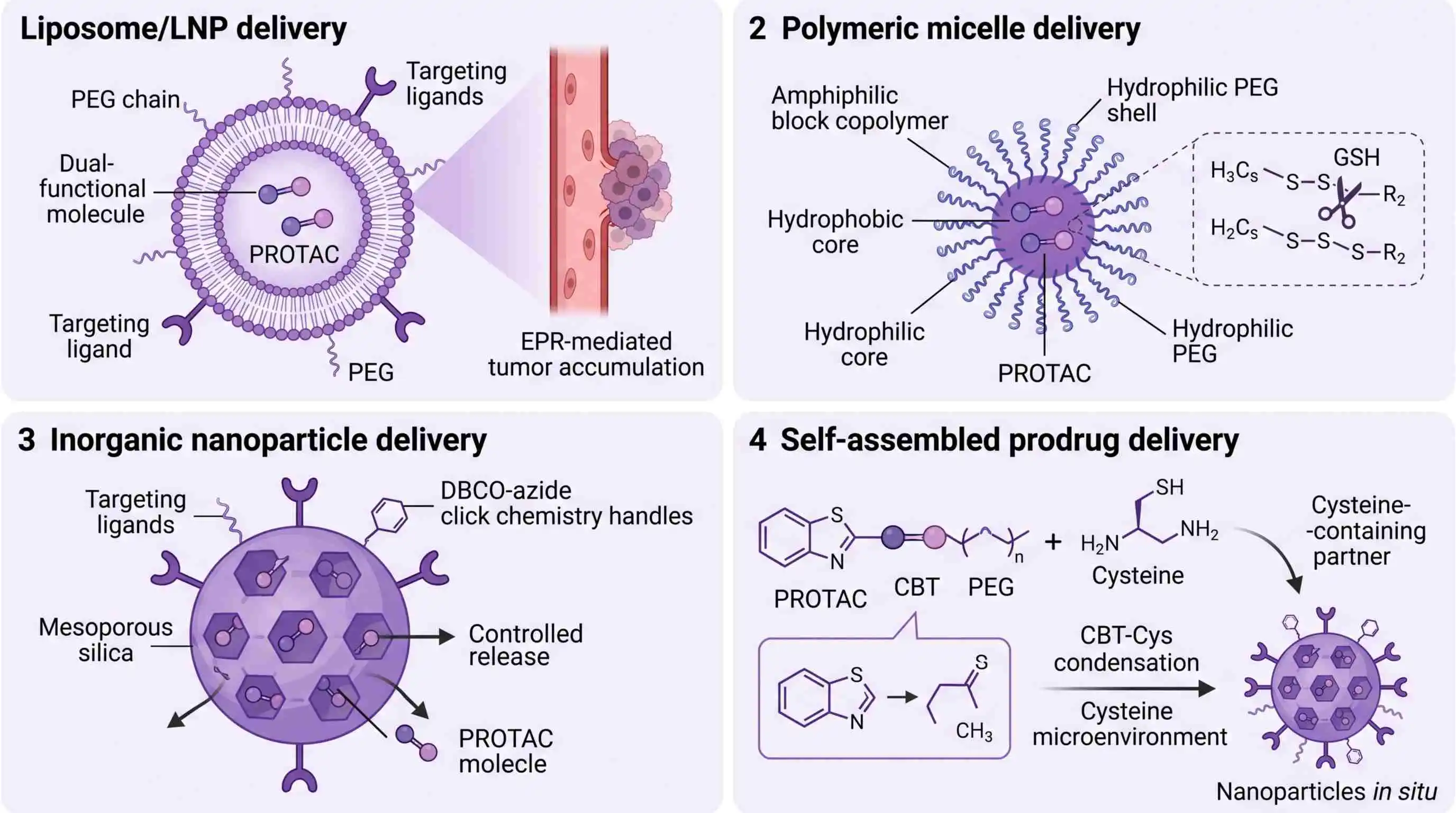 NanoPROTAC四种体内递送策略对比示意：脂质体包封、聚合物胶束载药、无机纳米粒装载与CBT-Cys自组装前药的原位组装与肿瘤富集路径