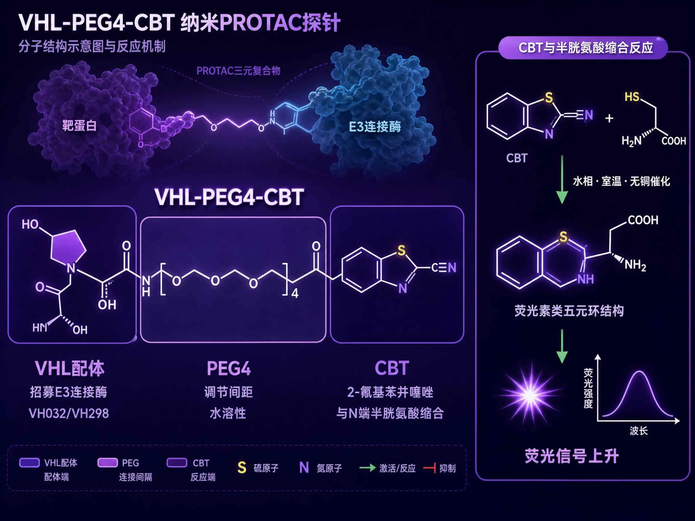 VHL-PEG4-CBT配体-连接子结构图：VHL配体招募E3连接酶，PEG4链调节间距，CBT基团缩合完成NanoPROTAC组装