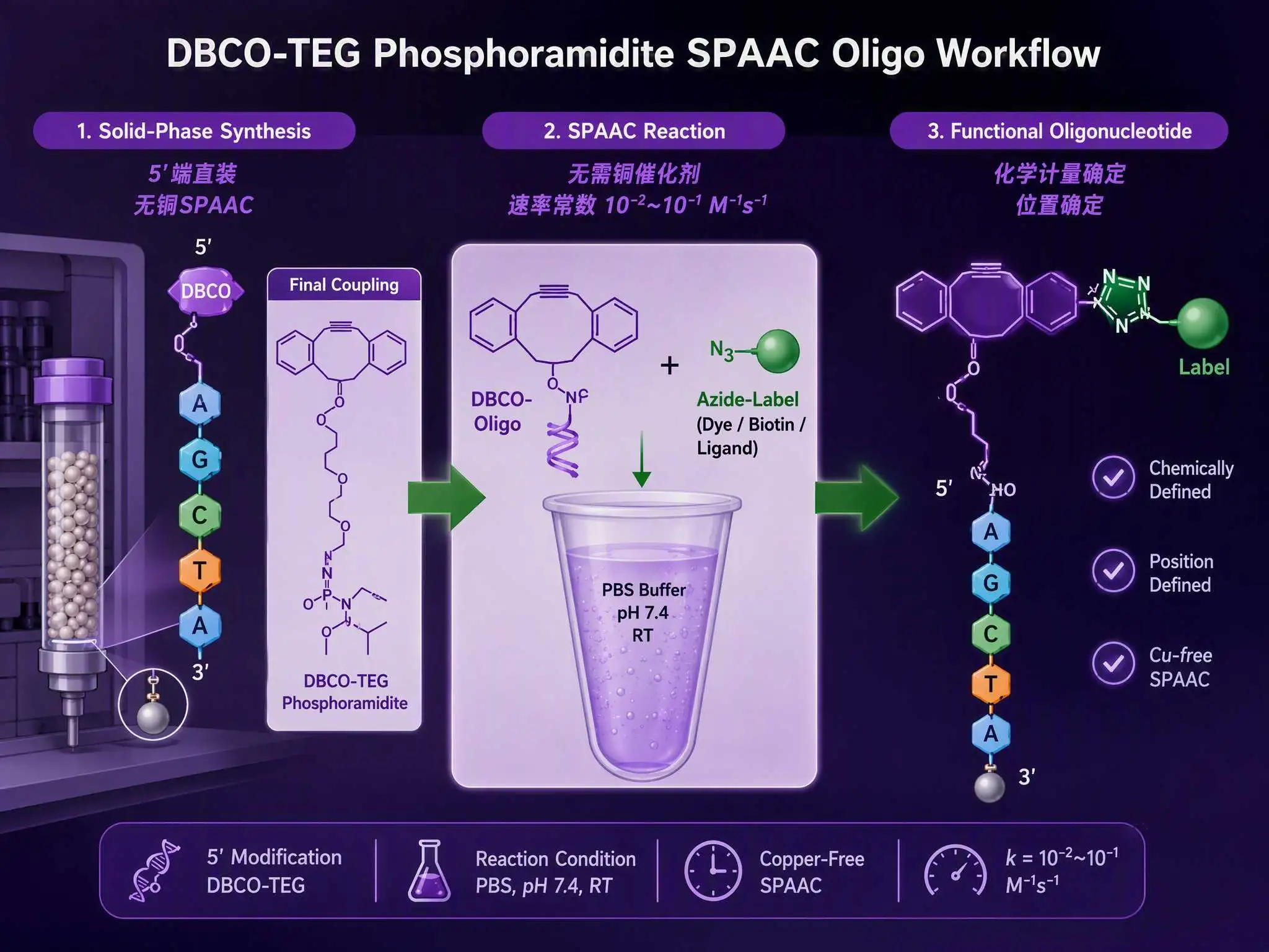 DBCO-TEG亚磷酰胺固相合成5'端直装DBCO与叠氮标记物无铜点击SPAAC偶联流程示意图