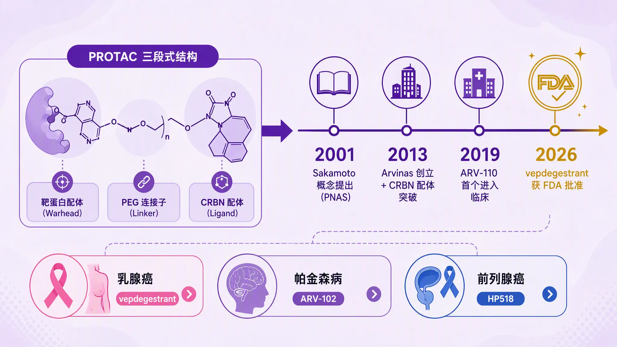 PROTAC第二个十年时间线图：从2001年Sakamoto概念提出、2013年Arvinas创立、2018年Bondeson系列论文、2019年ARV-110首个进入临床、到2026年首个PROTAC vepdegestrant获FDA批准及HP518国产AR-PROTAC Ph1应答