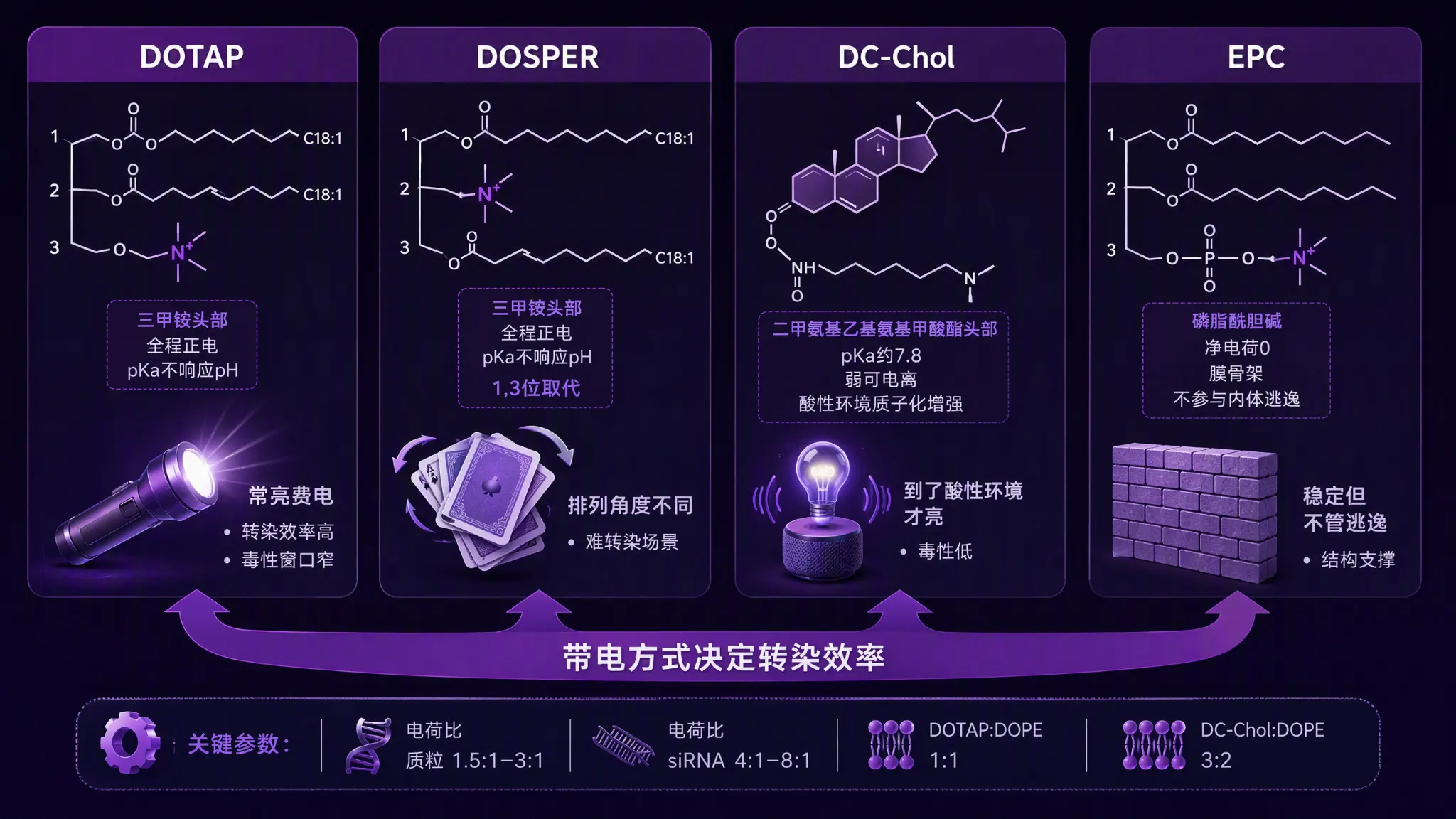 DOTAP、DOSPER、DC-Chol阳离子脂质与EPC中性脂质五维转染对比:带电方式、典型配伍、血清耐受与内体逃逸差异