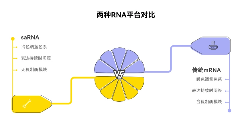 自复制RNA（saRNA）与传统mRNA平台对比示意图：saRNA携带甲病毒复制酶nsP1-4实现自扩增，剂量低至1-10微克，表达持续约28天，覆盖疫苗、肿瘤免疫与蛋白替代三大应用场景